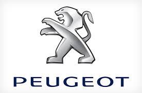 ORIGEN PEUGEOT 1606402080 - 